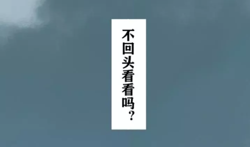 不回头看看吗.png